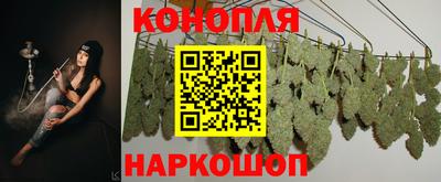 герыч Кингисепп