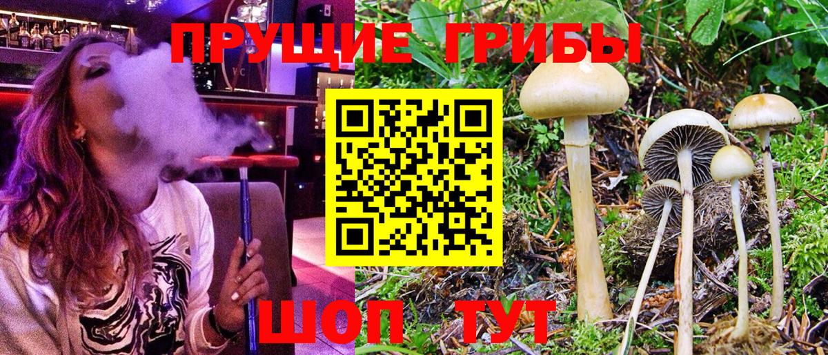 Галлюциногенные грибы мухоморы Конаково